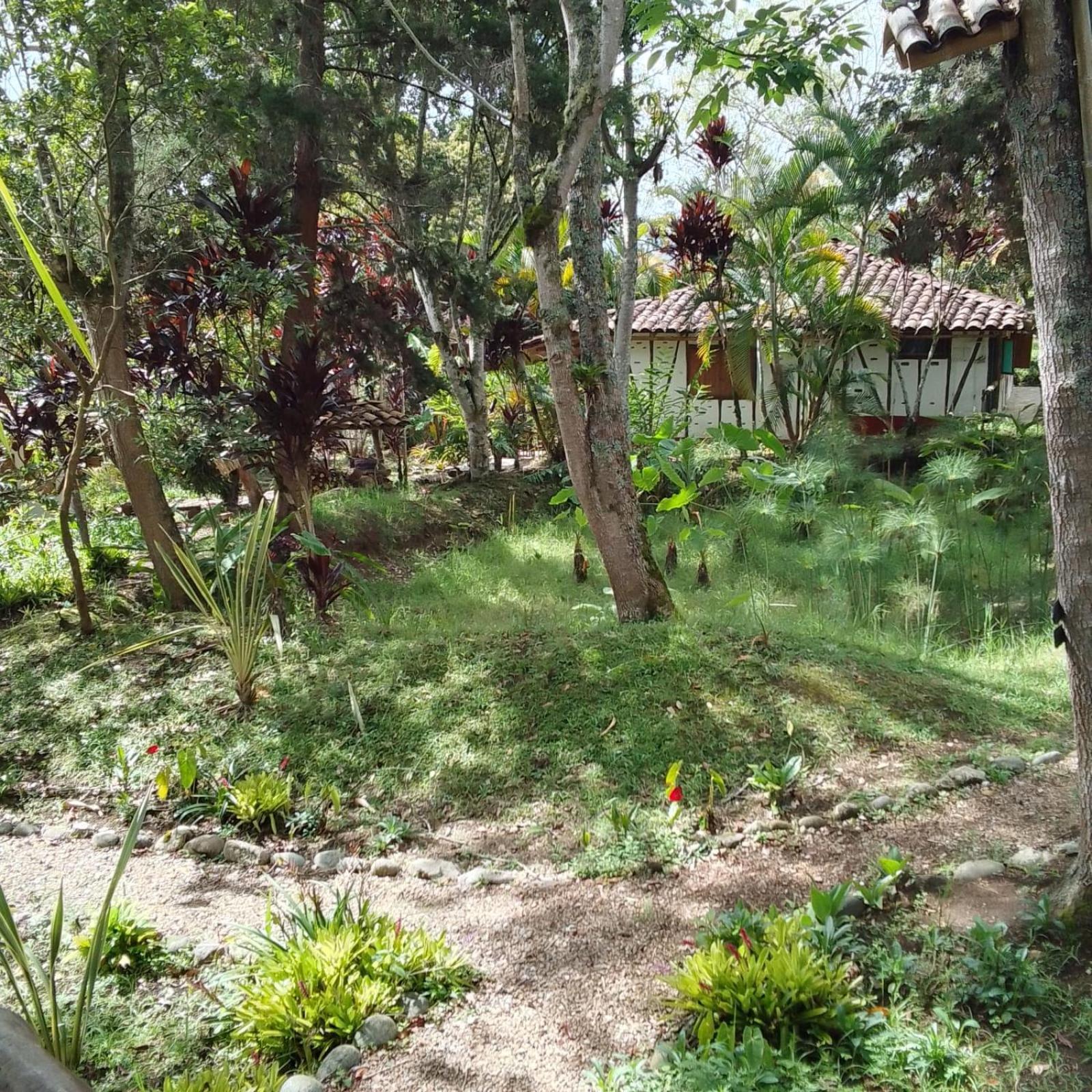 Hotel La Casa De Francois San Agustín Esterno foto
