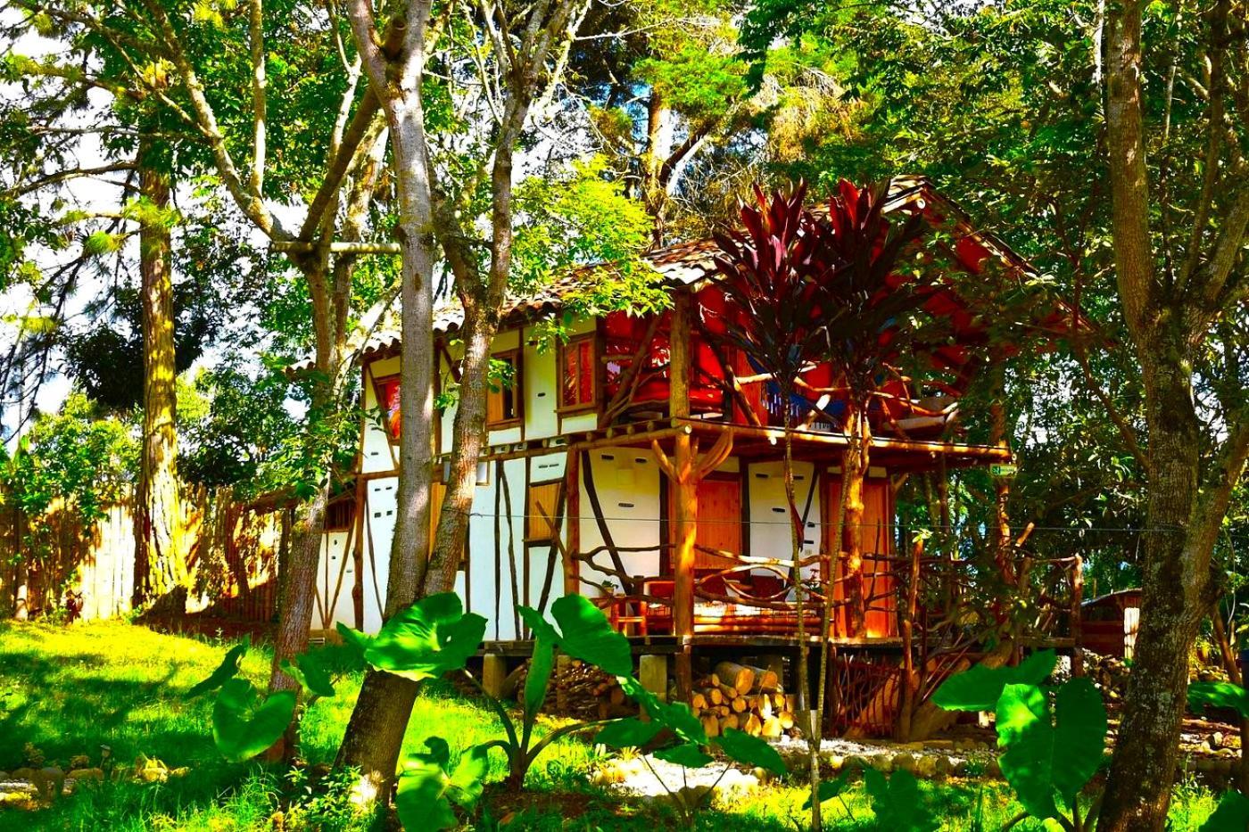 Hotel La Casa De Francois San Agustín Esterno foto